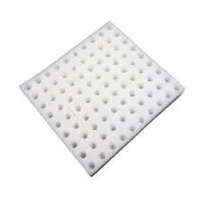 Germination sponge